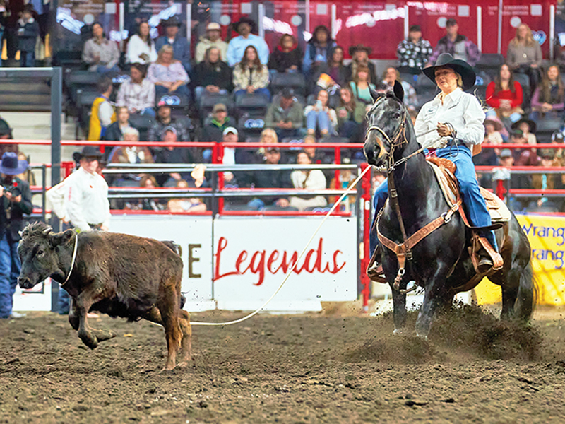 shaya biever breakaway roping, breakaway roping canada, canadian finals breakaway claresholm, alberta, cfr championship, wildwood imagery