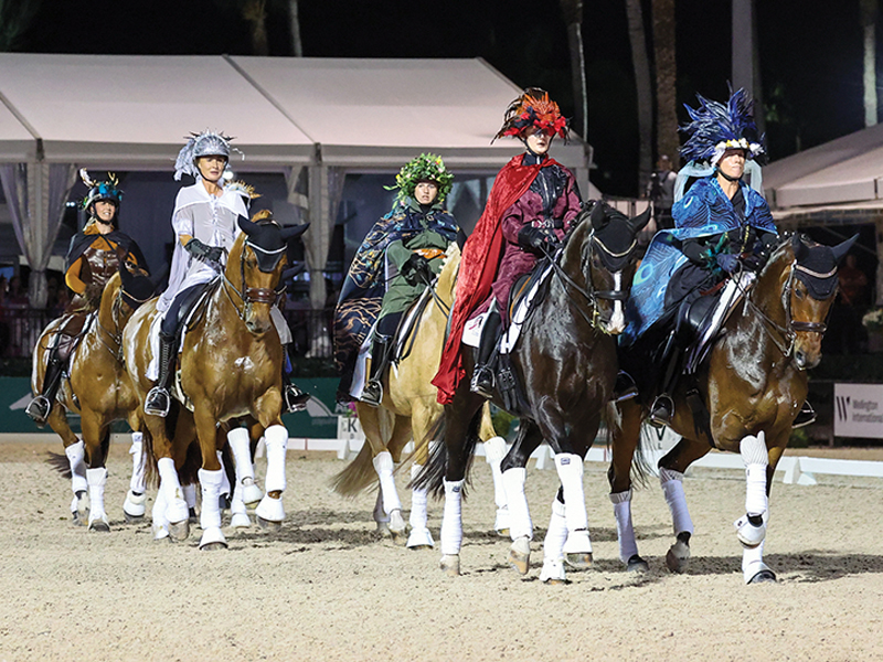 horses at challenge of the americas, horses with jobs, working horses, school horses, therapy horses, search and rescue horses, quadrille horses, movie horses, horse temperament, equine careers