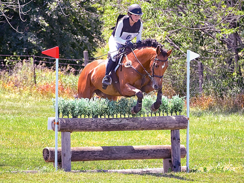 ontario equestrian u25 eventing program, chelsea lowe ulisis, training older horse