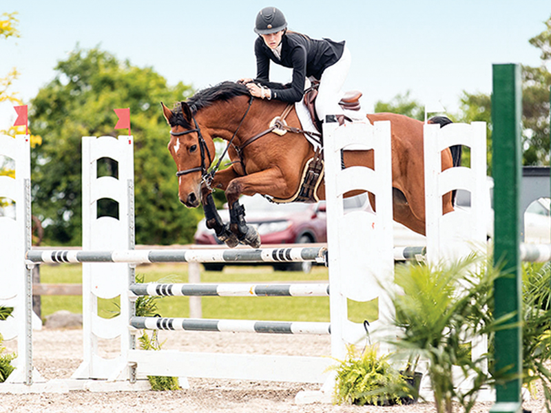 ontario equestrian u25 eventing program, chelsea lowe ulisis, training older horse