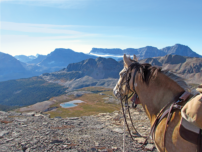 trail riding preparation, horse fitness training, trail horse skills, equine conditioning program, horse camping trips Canada, rider fitness equestrian, trail riding safety, horse training for trails