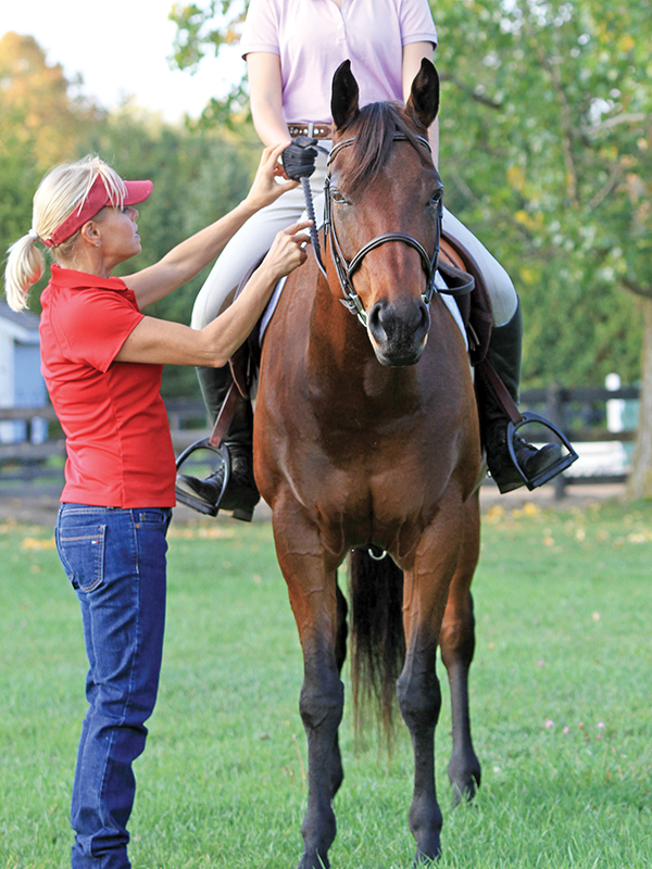 horse training options, riding with a trainer, do it yourself horse training, equestrian coaching advice, amateur rider development, horse riding lessons, equestrian training models, choosing a horse trainer, independent riding, riding without a coach
