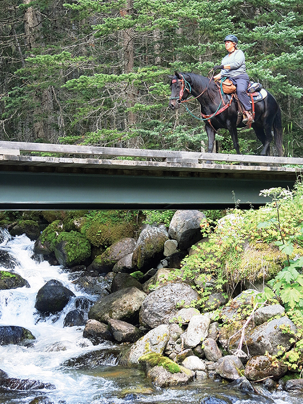horse crossing a bridge, trail riding preparation, horse fitness training, trail horse skills, equine conditioning program, horse camping trips Canada, rider fitness equestrian, trail riding safety, horse training for trails