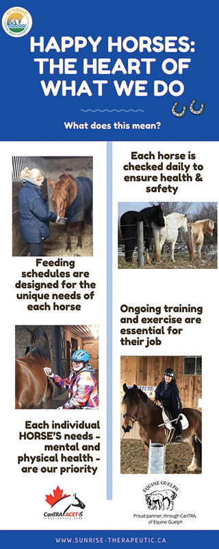 therapeutic riding fundraisers canada, happy horses fundraiser, canadian therapeutic riding association, sunrise therapeutic riding  learning centre of puslinch, on, ann caine 