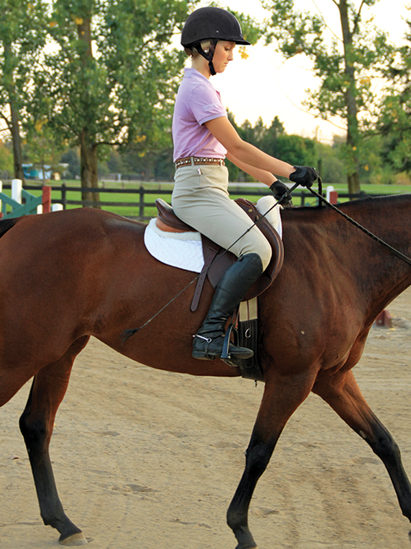 how to use a whip correctly horse