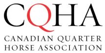 cqha history, aqha horses in canada, quarter horses in canada