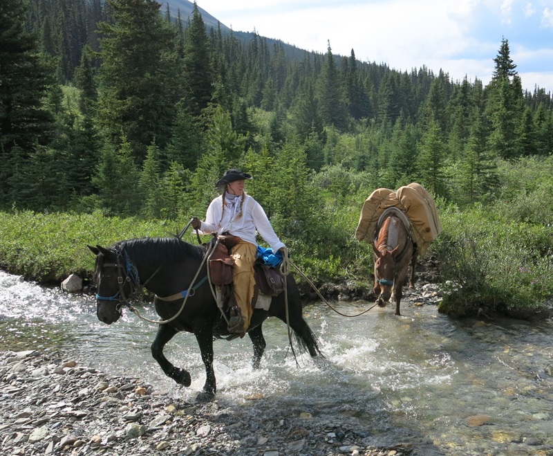 horse leading other horses through water, trail riding preparation, horse fitness training, trail horse skills, equine conditioning program, horse camping trips Canada, rider fitness equestrian, trail riding safety, horse training for trails