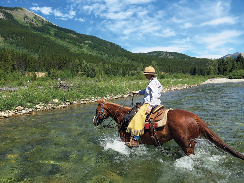 horse crossing water, trail riding preparation, horse fitness training, trail horse skills, equine conditioning program, horse camping trips Canada, rider fitness equestrian, trail riding safety, horse training for trails