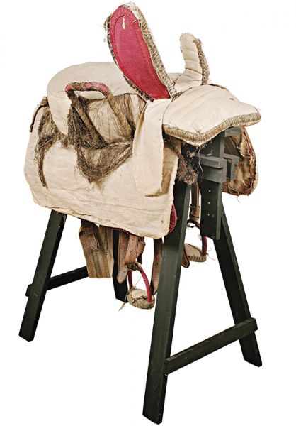 how to ride sidesaddle, sidesaddle makers, sidesaddle clubs, sidesaddle associations, western sidesaddles, english sidesaddles, patricia hardy sidesaddle, robert jenkins malvern saddle, susan bellinger sidesaddle