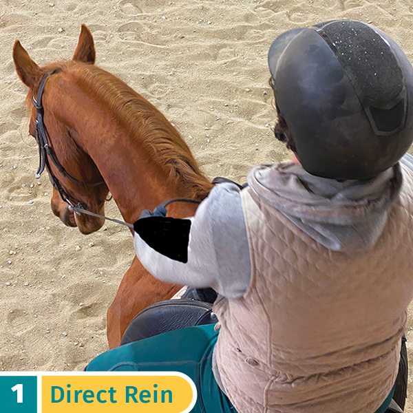 five rein aids horses, direct rein aid, riding horses rein aids, sarah mellings, ec certified coaches