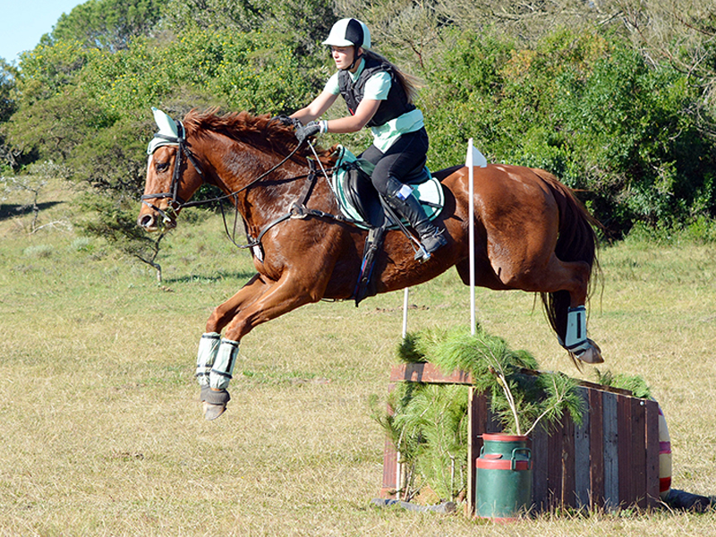 Dressage Youth, Eventing Youth, Young Equestrians, New horse people, Programs for horse riders, canadian pony club, equestrian canada, Ontario Equestrian GRIT, Show Jumping Youth Development, Vault Canada, CADORA, Endurance Riders Canada