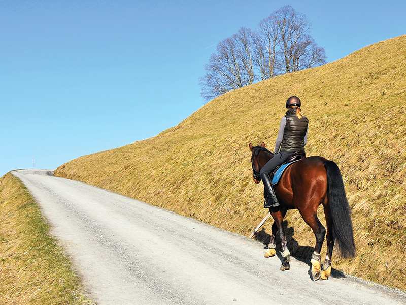 how to use hills to train horse, horse hill training, jec ballou, horse fitness, exercises for horses, best workouts for horse