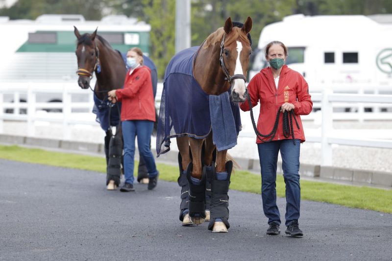 Equine Athletes canada tokyo olympics, japan olympics horses, haneda airport horses, flying horses to olympics, canadian horses at olympics