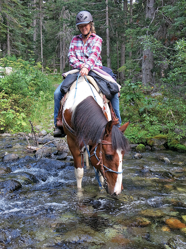 horse drinking in stream, trail riding preparation, horse fitness training, trail horse skills, equine conditioning program, horse camping trips Canada, rider fitness equestrian, trail riding safety, horse training for trails