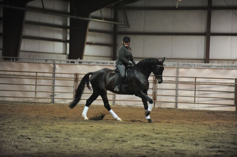 Shaping Your Horse's Canter, how to develop a nice canter, how to canter a horse, lindsay grice, horse crosses leg behind, horse won't canter