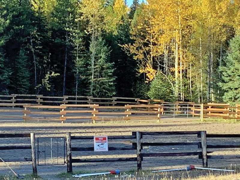 Horse Council BC, HCBC awards 2025, BC equestrian community, equestrian grants British Columbia, BC equestrian trails fund, horse club funding BC, equestrian volunteers BC, Horse Council BC grants