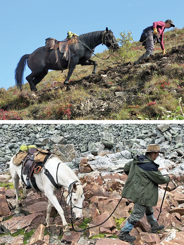 horse hiking up hill trail ride, trail riding preparation, horse fitness training, trail horse skills, equine conditioning program, horse camping trips Canada, rider fitness equestrian, trail riding safety, horse training for trails