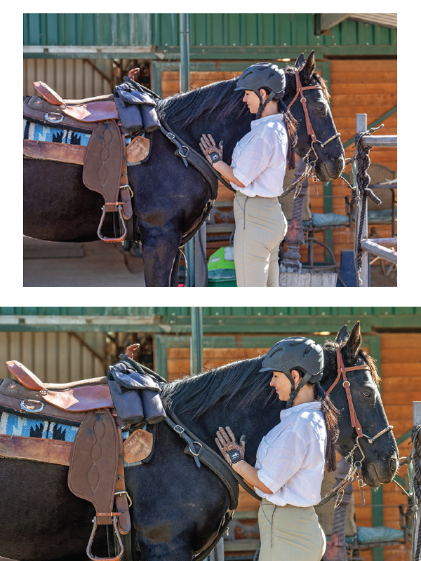 equine photography, horse photography tips, photographing horses, rule of thirds photography, equine composition techniques, horse photo focus modes, AF-C tracking horses, photographing moving horses, Canadian equestrian photography, Shawn Hamilton photography, Clix Photography, horse photography composition, capturing horses in motion, equine photo tips Canada, horse rider photography