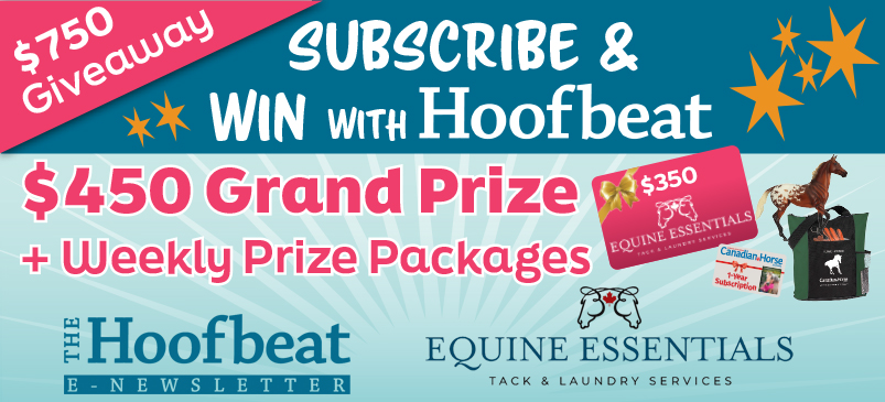 horse contests