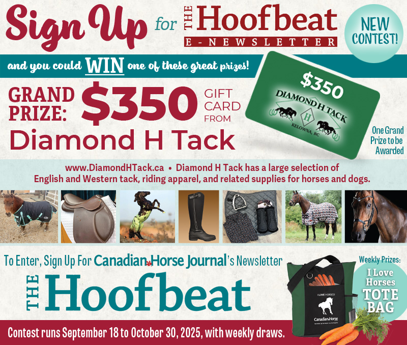 Diamond H Tack Gift Card contest, free horse contests