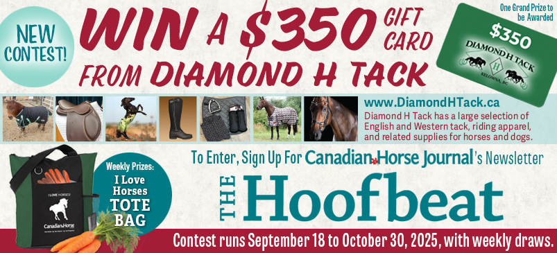 free horse contests canada, diamond h tack gift card