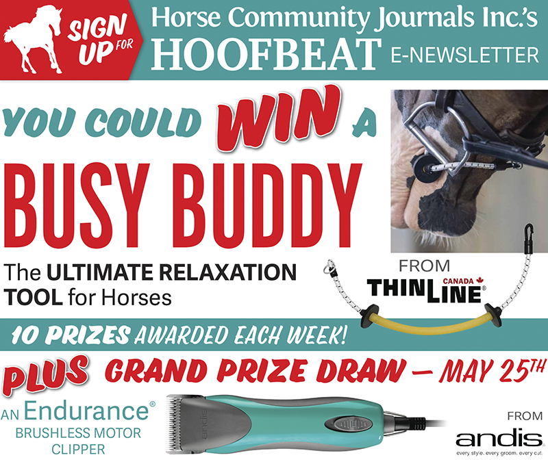 horse contests, win horse stuff, canadian horse contests