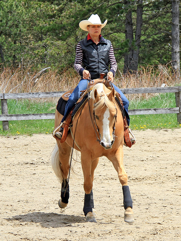 horse training options, riding with a trainer, do it yourself horse training, equestrian coaching advice, amateur rider development, horse riding lessons, equestrian training models, choosing a horse trainer, independent riding, riding without a coach