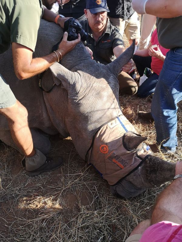 Vets with Horsepower 2021, ethelberth youth and chilcare centre south africa, horses in need, horse welfare