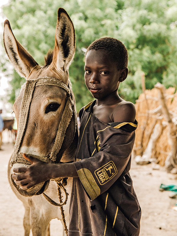 brooke usa, ejiao donkey skin trade, amazon ejiao, health products ejiao, donate to help donkeys worldwide, donkeys third world countries