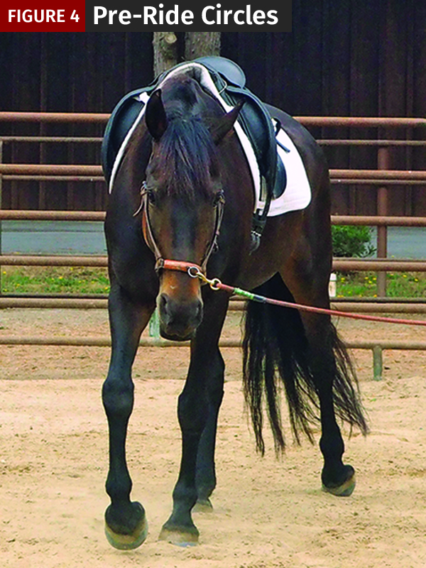 horse fitness warm-up, jec ballou, riding circles horses to warm up