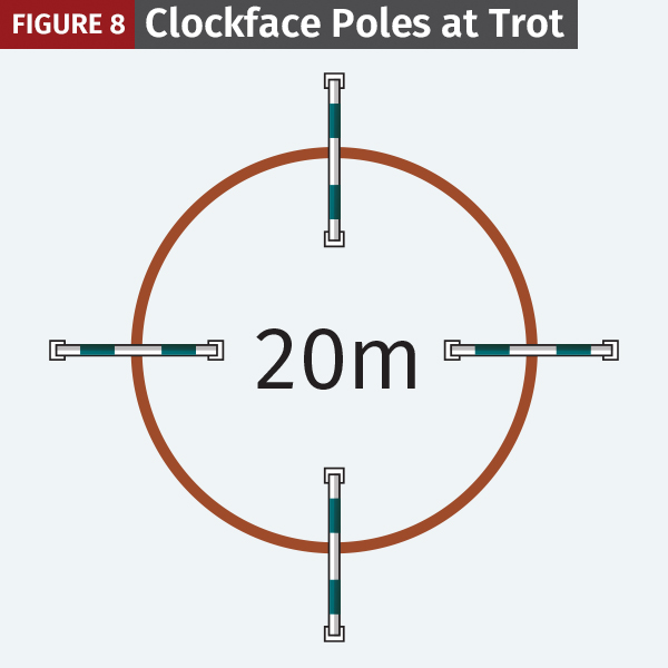 clockface poles at trot, equine fitness jec ballou, horse warm-up exercises
