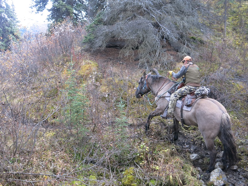 horse riding through poor trails, trail riding preparation, horse fitness training, trail horse skills, equine conditioning program, horse camping trips Canada, rider fitness equestrian, trail riding safety, horse training for trails