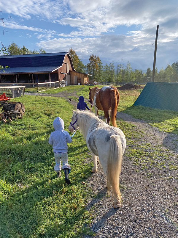 family farms, how to run a family farm, horse farms, how to manage farm and family life, canadian farms, horse farms canada, managing farm and children, tania millen