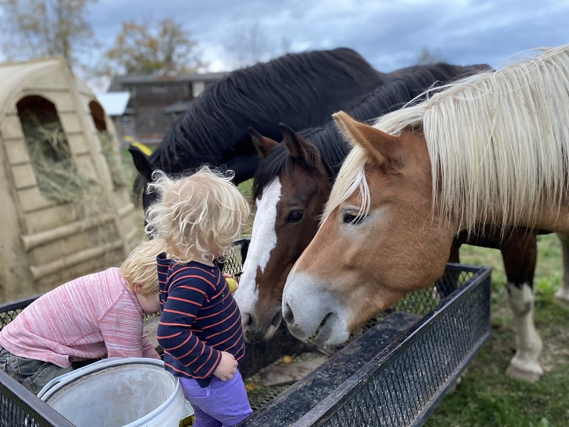 family farms, how to run a family farm, horse farms, how to manage farm and family life, canadian farms, horse farms canada, managing farm and children, tania millen