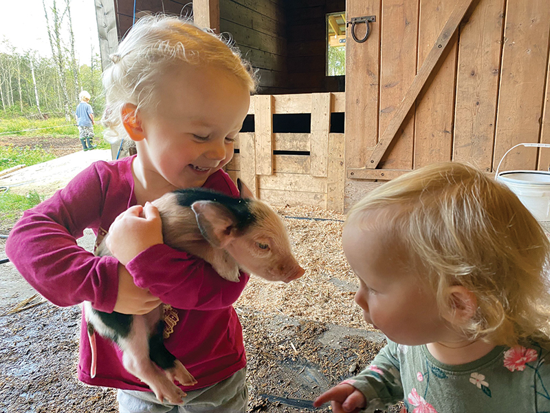 family farms, how to run a family farm, horse farms, how to manage farm and family life, canadian farms, horse farms canada, managing farm and children, tania millen
