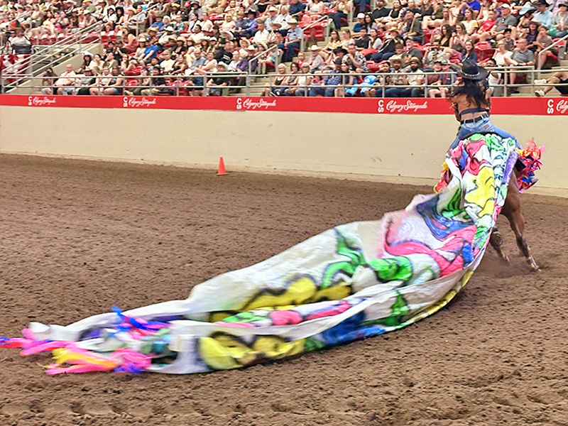 wanda dee haddad horse bentley, calgary stampede 2025