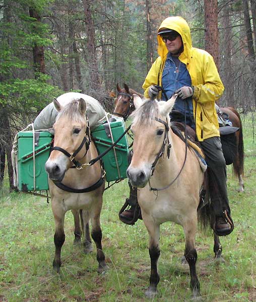 Norwegian Fjord, Asiatic wild horse or Przewalski horse, Highland Pony and the Icelandic Horse. Horses used by vikings, Beaver Dam Farm in Nova Scotia, American Driving Society (ADS), Wallace Point Fjords, Blue Raven Farm, and McKinnon’s Neck Farm