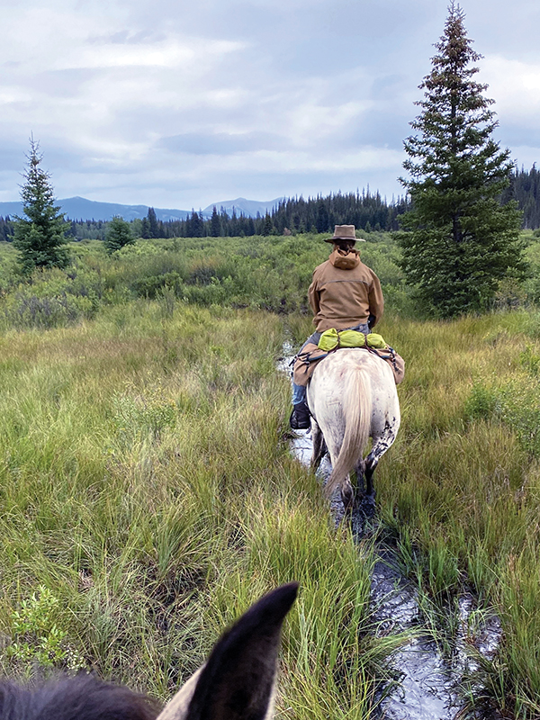 horse trail riding through mud, trail riding preparation, horse fitness training, trail horse skills, equine conditioning program, horse camping trips Canada, rider fitness equestrian, trail riding safety, horse training for trails