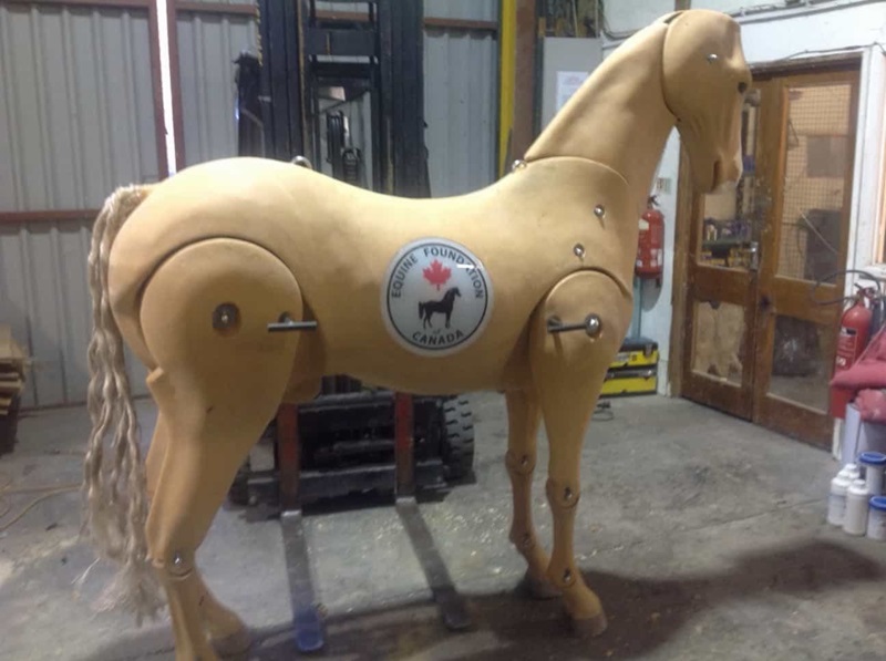 EFC charity Canada, equine welfare Canada, horse charity Canada history, veterinary scholarships horses Canada, equine education funding, Canadian horse industry support, equine nonprofit Canada