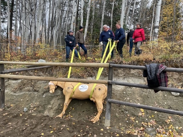 EFC charity Canada, equine welfare Canada, horse charity Canada history, veterinary scholarships horses Canada, equine education funding, Canadian horse industry support, equine nonprofit Canada