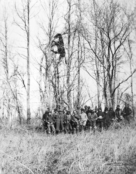 climate change horse industry, prepare horse farm for climate change, heat dome horses, rescuing horses disaster, hay shortages, colic horses