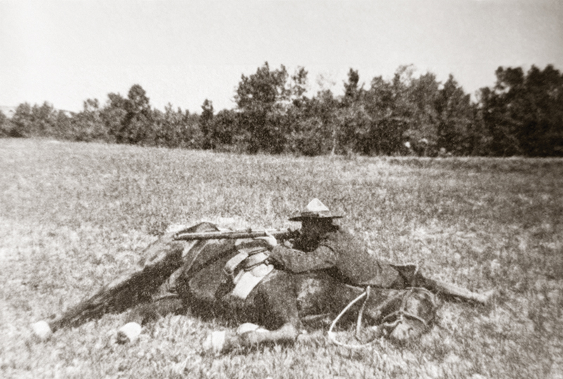 Col. S.B. Steele, Strathcona's Horse, horses in history, sam steele's horses, north-west rebellion, cowboy cavalry, buckskin cavalry, alberta field force horses, horses Canadian army, commemorative troop association horses