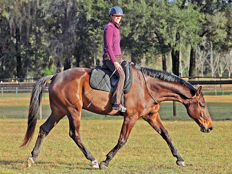 Karen Rohlf riding bitless, dressage naturally karen rohlf, grand prix dressage competitor trainers, interview with Karen Rohlf, riding dressage without bit, natural horsemanship dressage