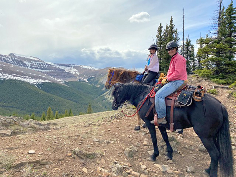 canadian horse breed, canada's national breed, chhaps, canadian horse heritage & preservation society, canada's national horse, hummingbird epic horseback riding