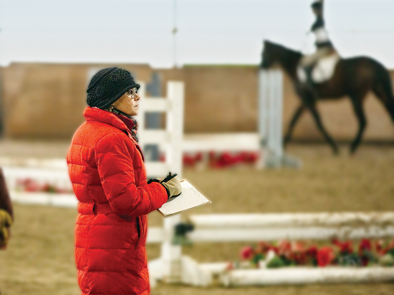 horse conformation, horse movement analysis, equine judging, horseman’s eye, horse training Canada, equine biomechanics, horse soundness, judging horses Canada, equine body language, horse gait analysis, horse selection tips, equestrian coaching Canada, horse show judging, Canadian horse industry, horse performance evaluation