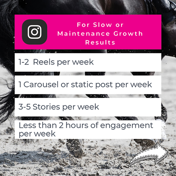 Instagram slow growth, equestrian online media