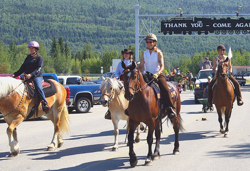 bell and sundance horses, horse rescue in bc, pack horses abandoned bc, horse christmas stories, mount renshaw horse rescue, horses trapped rocky mountains, birgit stutz horse rescue, falling star ranch bc, frank mackay horse abandonment