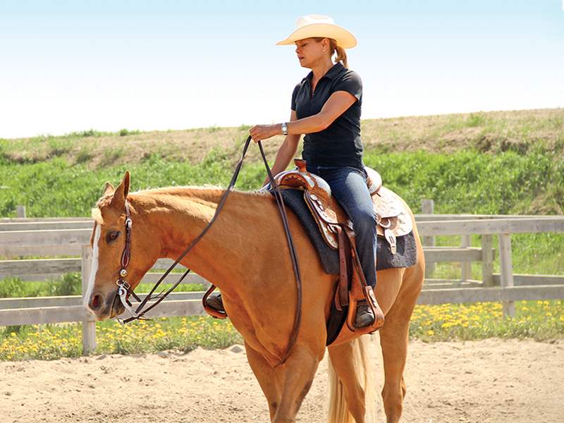 horse bulging on circle, horse not responding to rein aids, horse riding a circle, proper alignment horse circles, lindsay grice horse training