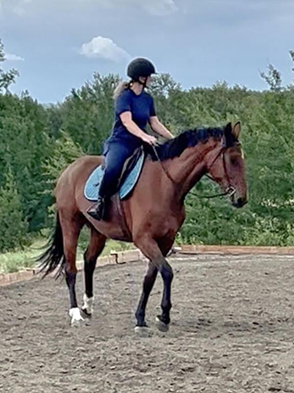 horse riding accidents, abby stilwell blog, blogs for horse people, abby stilwell, north country equestrian, mom equestrians, parenting equestrians, professional horse riders