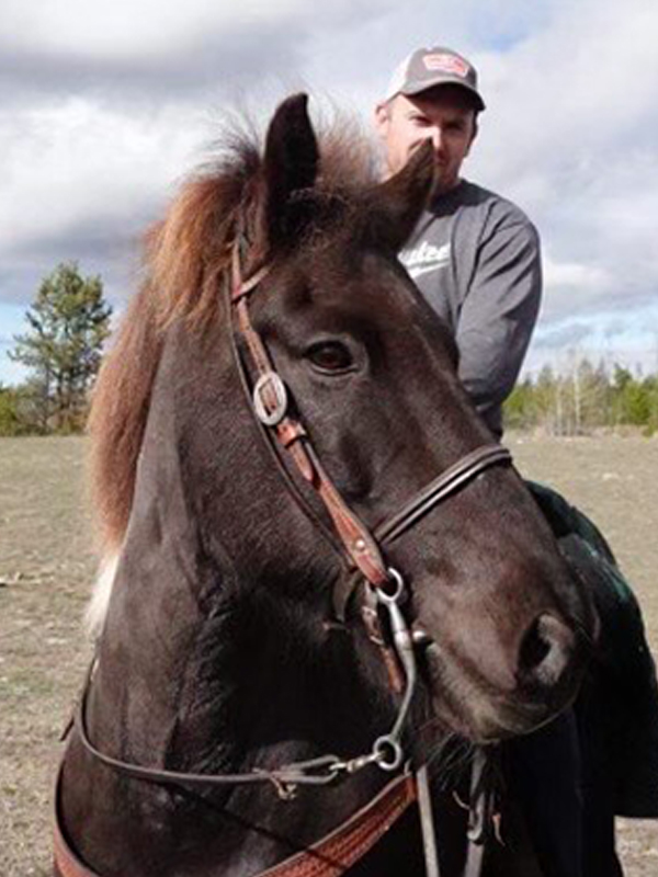 Icelandic horse, Icelandic horse breed, riding Icelandic horses, horse breed story, gaited horses, Icelandic horse culture, versatile horse breeds, horse longevity, personal horse journey
